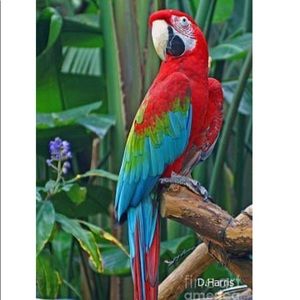 Meet your Posher, Abigail